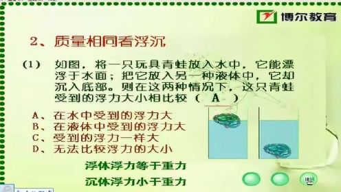 最新浮力视频，揭示浮力奥秘，领略其独特魅力