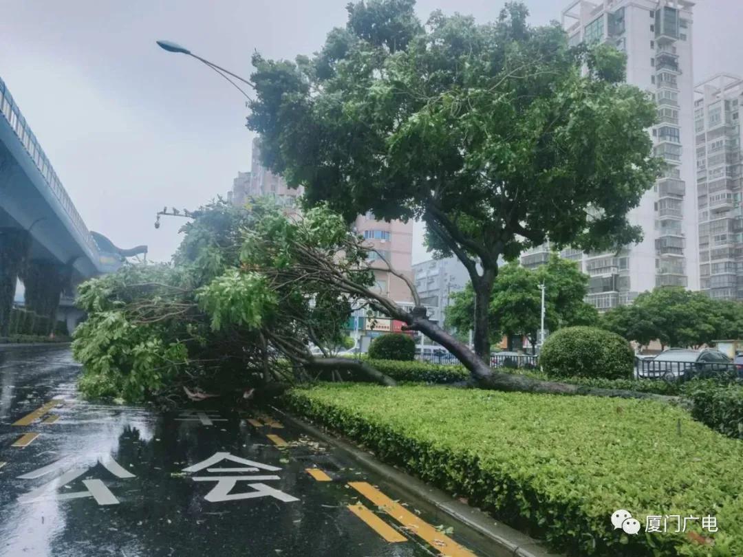 最新暴雨情况报告概览