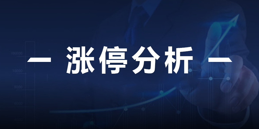 最新股市新闻深度解读报告