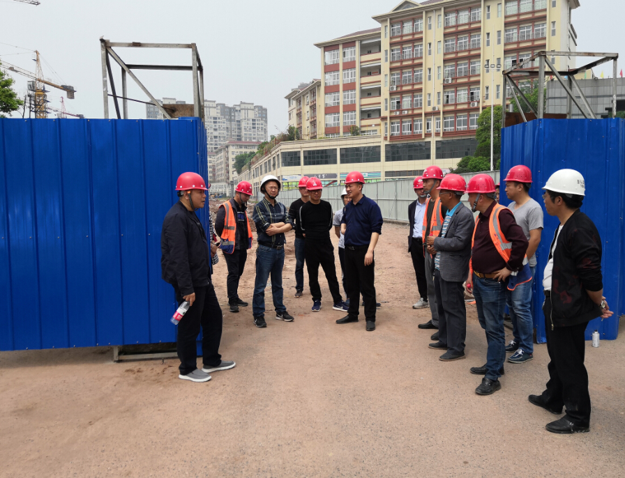 靖西县住房和城乡建设局最新项目进展报告概览