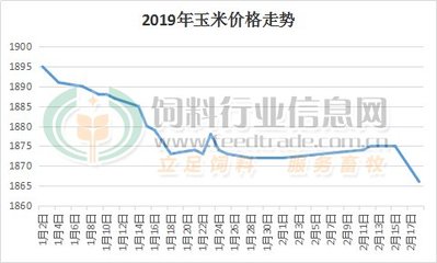 山东玉米今日最新价格分析