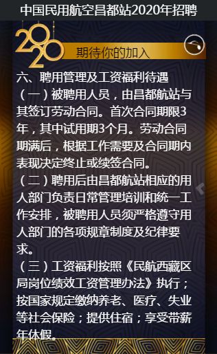 民航资源网最新招聘动态及其行业影响分析