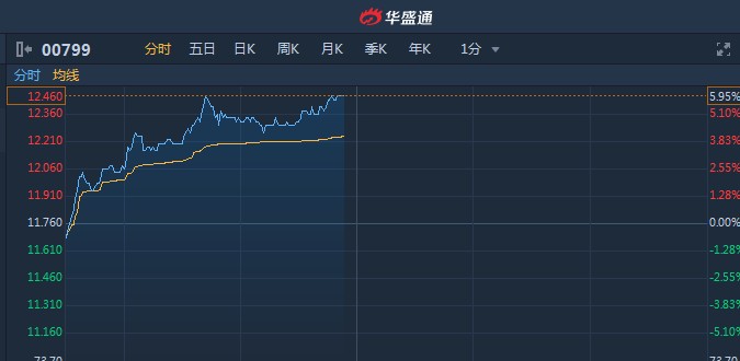 IGG股票最新消息全面解读与分析