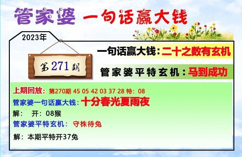 管家婆一码中一肖,实地说明解析_战略版43.685