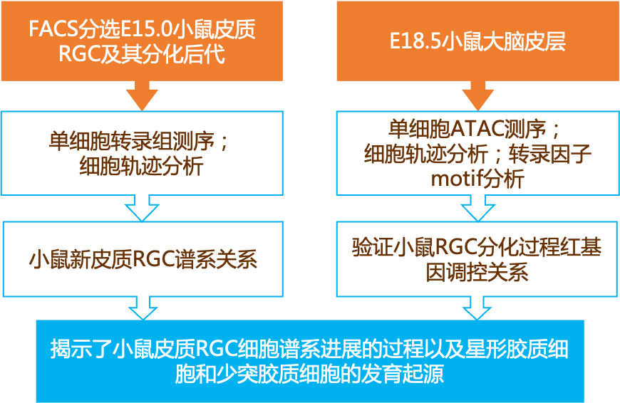 新奥正版免费资料大全,实地解答解释定义_XT81.10