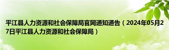 平江区人力资源和社会保障局最新招聘信息全面解析