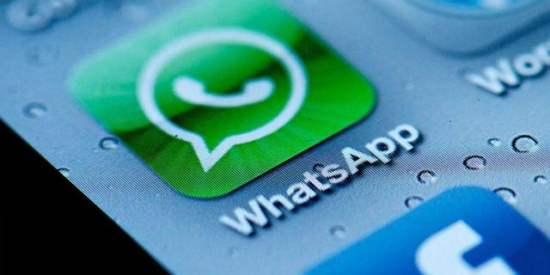 最新WhatsApp版本功能特点概览