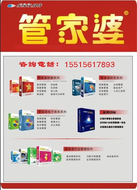 管家婆204年资料正版大全,决策资料解释落实_Gold45.832