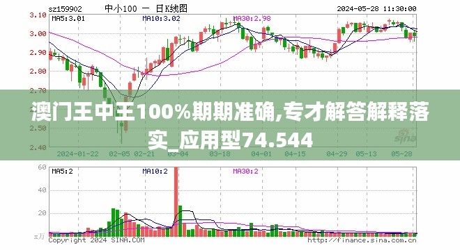 澳门精准王中王免费公开,详细解读定义方案_The98.434