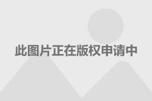 金多宝传真内部绝密资料,实践性方案设计_顶级款66.747