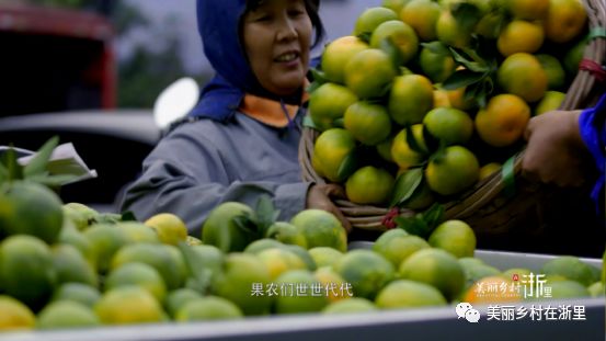 新澳门一码一肖一特一中水果爷爷,正确解答落实_极速版49.78.58