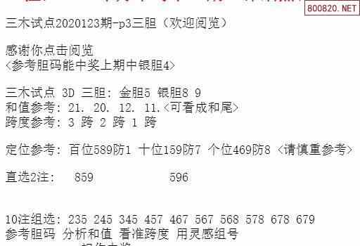 王中王三组三中三,创新性计划解析_储蓄版60.162