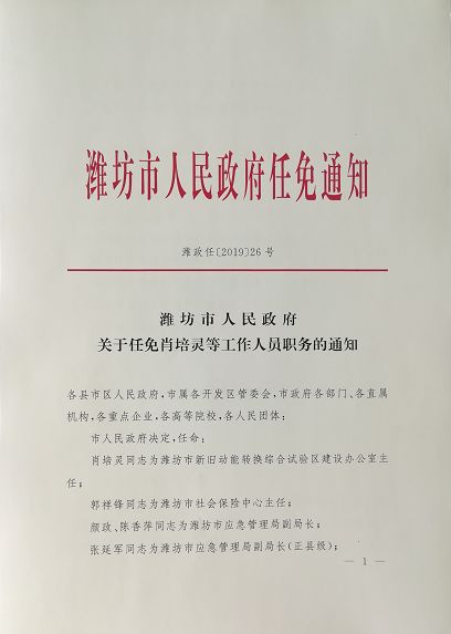 枣阳市初中最新人事任命，塑造教育新篇章