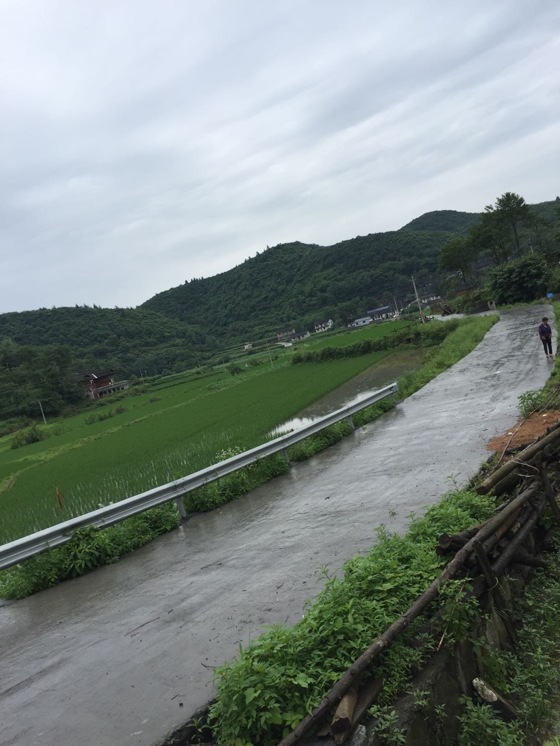 豆沙镇天气预报最新详解