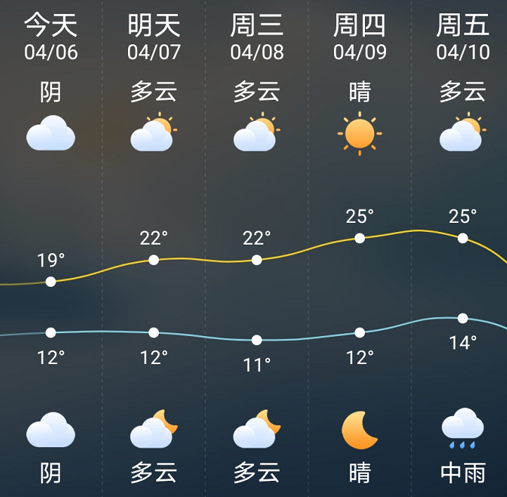 2024年12月12日 第11页