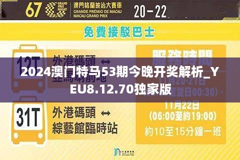 2024年澳门特马今晚,实地验证执行数据_黄金版43.856