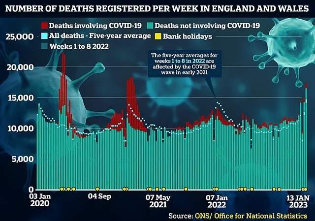 2024最近爆发的病毒,正确解答落实_精英版201.123