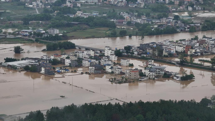 洪塘镇天气预报更新通知