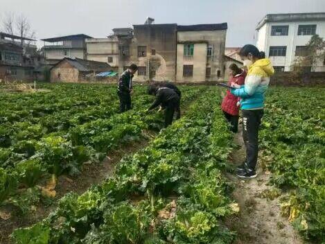 花溪区农业农村局发布最新动态