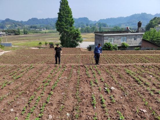 榆社县农业农村局新项目推动农业现代化助力乡村振兴