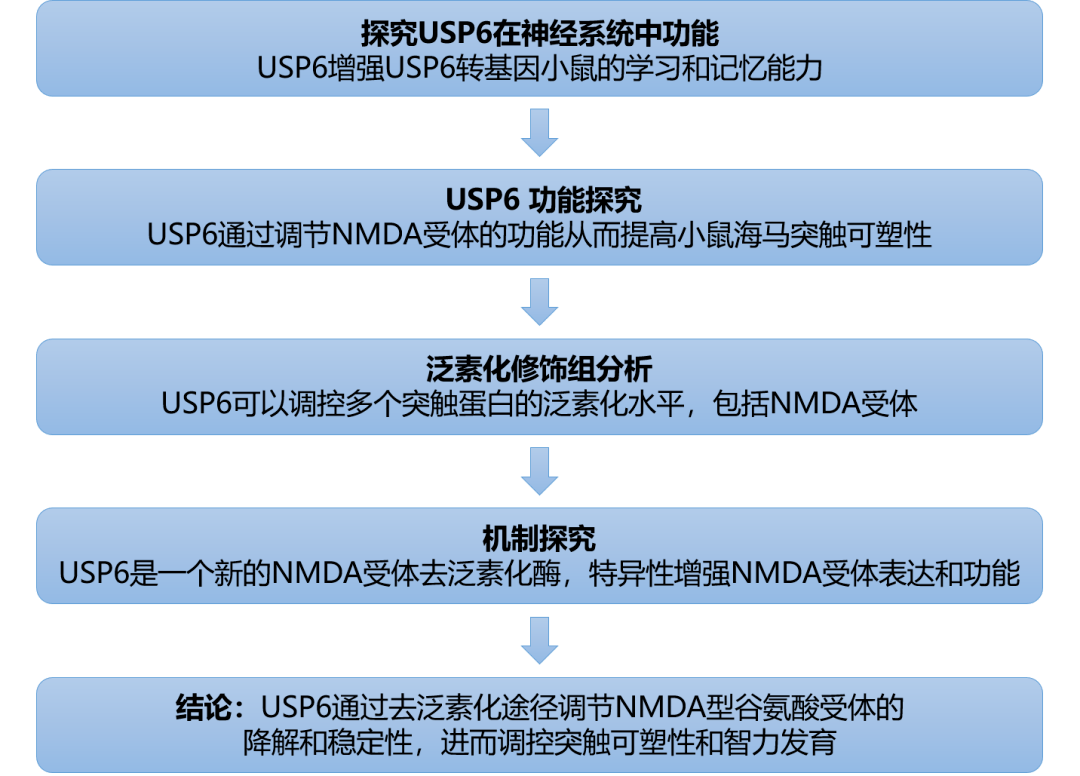 广东二八站免费提供资料,高度协调策略执行_eShop53.105