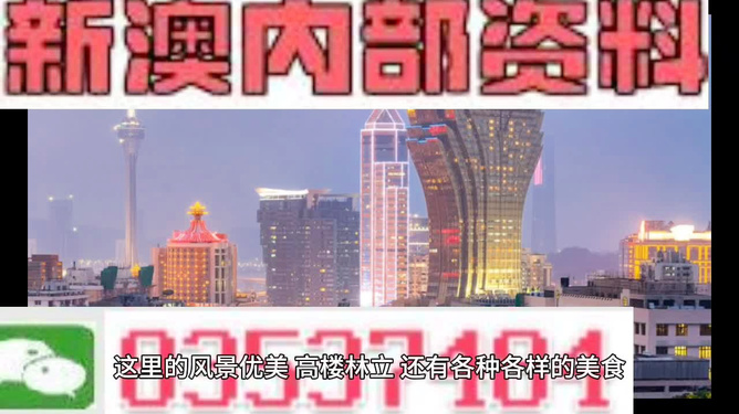 新澳门精准四肖期期中特公开,实地研究数据应用_定制版43.728