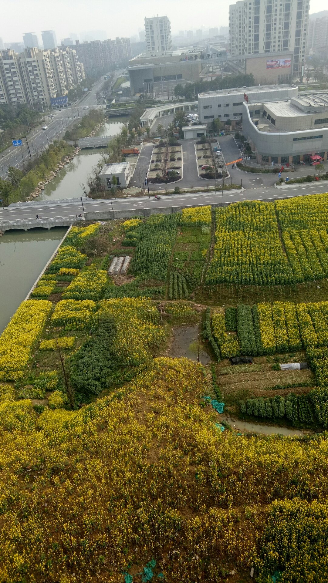 长兴街道天气预报更新通知