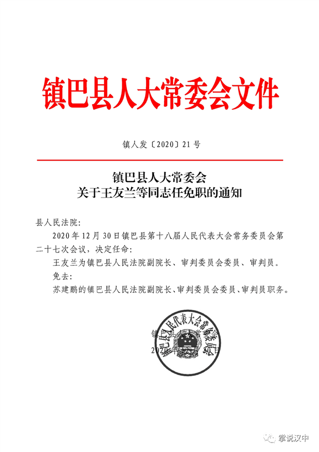 绿园区托养福利事业单位人事最新任命通知