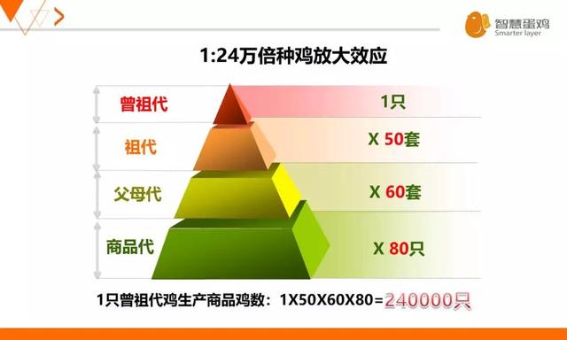 ゝ梦再续℡