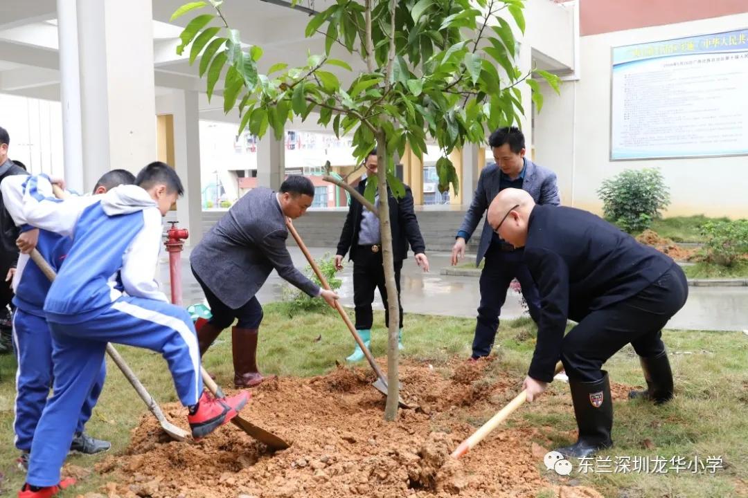 东兰县小学领导最新概览