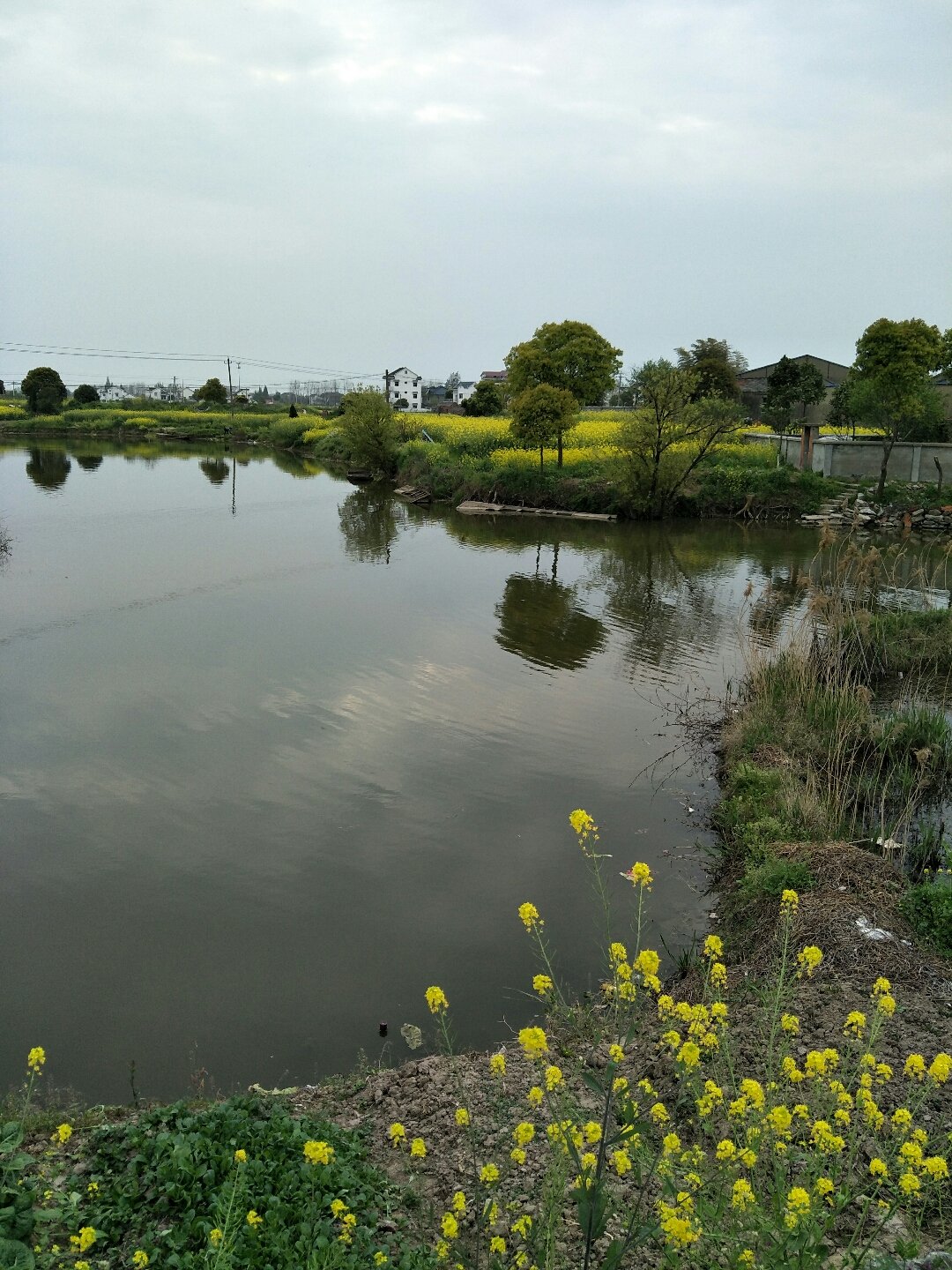 东渚镇天气预报更新通知