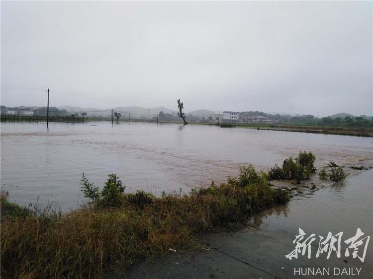 永兴场社区天气预报更新通知