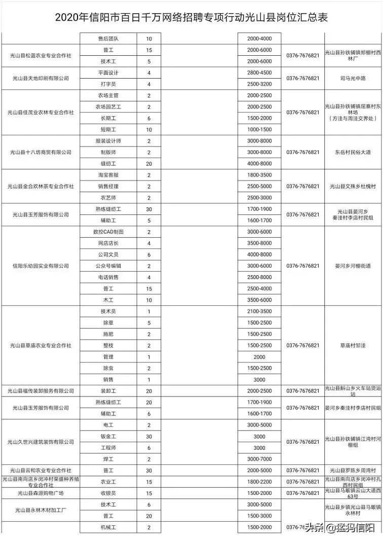 新县最新招聘动态及其社会影响分析