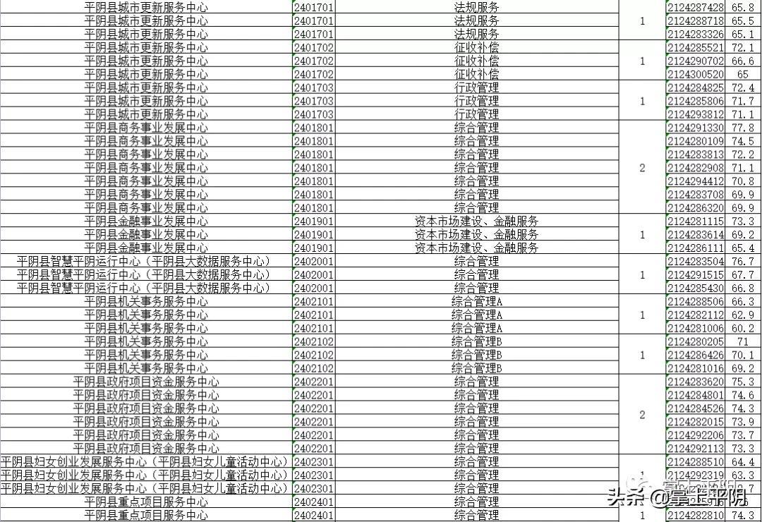 平阴最新招聘动态及职业机会探讨