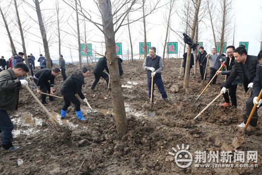 荆州市林业局新项目推动绿色生态发展，打造文明生态之城