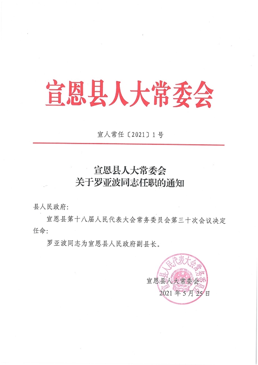 罗田县人民政府办公室人事任命重塑领导团队，开启县域发展新篇章