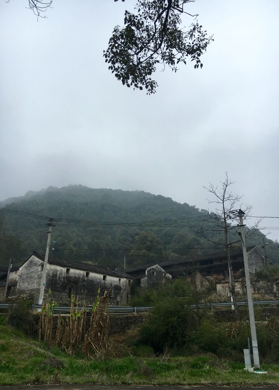 梨山村天气预报更新通知